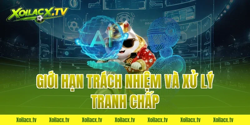 Giới Hạn Trách Nhiệm Và Xử Lý Tranh Chấp